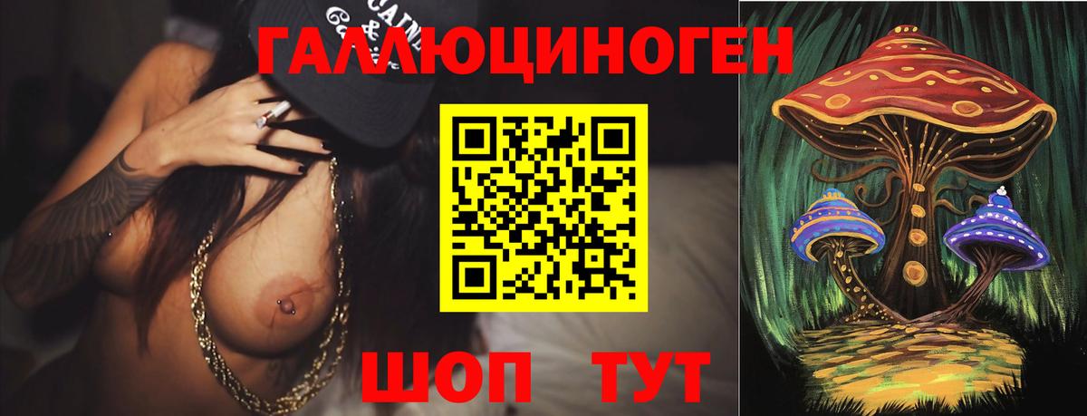 Унеча  Псилоцибиновые грибы Psilocybine cubensis  Вход с VPN 